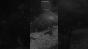 Посметухина Снежана к 80 летию победы в Великой отечественной войне