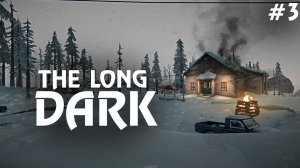 THE LONG DARK #3 ▸ В поисках церкви