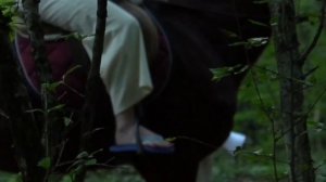 Конная прогулка Обзорная