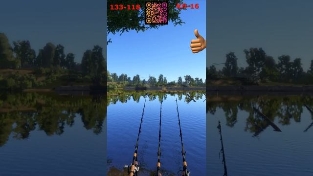 СИНЕЦ НЕУЛОВИМЫЙ ТРОФ РР4 ВОЛХОВ - Русская Рыбалка 4 | RUSSIAN FISHING 4  #русскаярыбалка4 #рр4