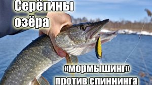 Мормышка против спиннинга