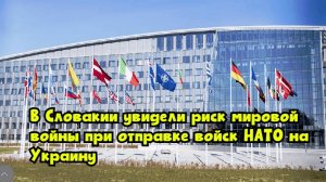 В Словакии увидели риск мировой войны при отправке войск НАТО на Украину