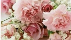 С Днем Рождения, МОЯ НЕНАГЛЯДНАЯ! Самые тёплые слова ЛЮБИМОЙ ВНУЧКЕ в её день!