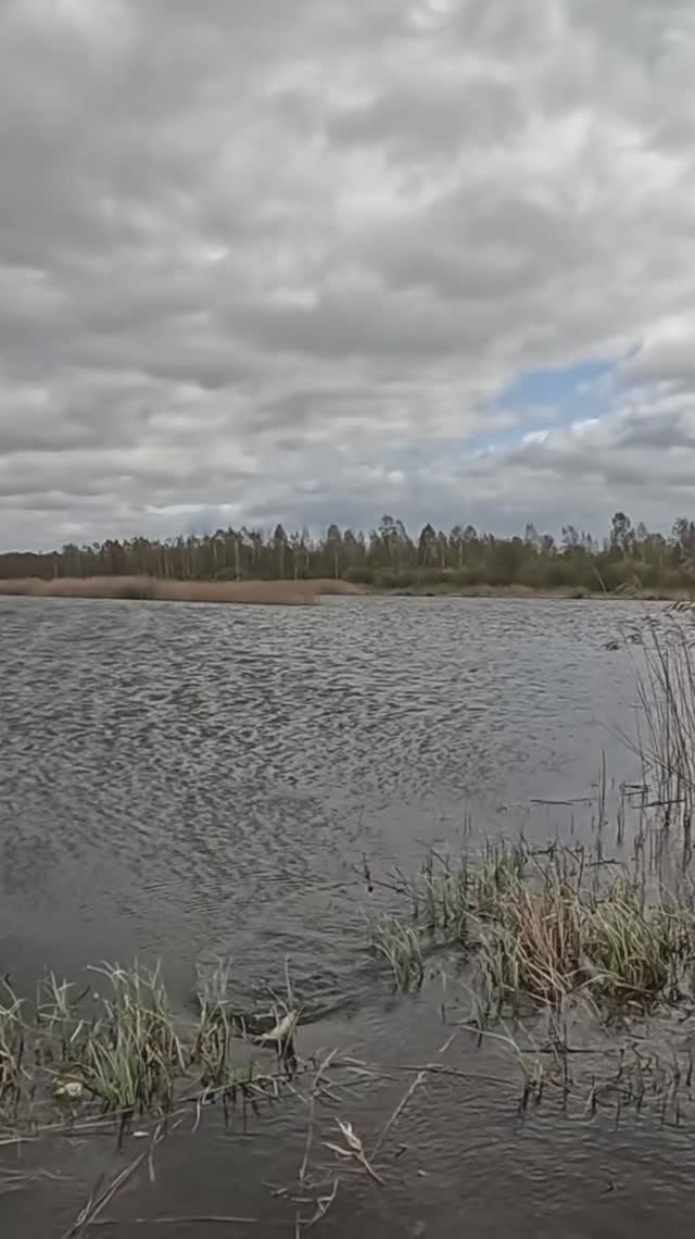 Вроде что то сидит!