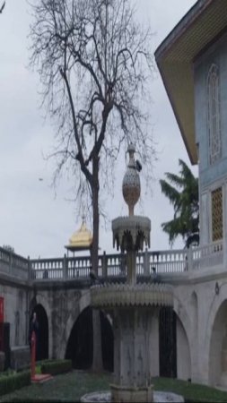 Как попадали в гарем девушки