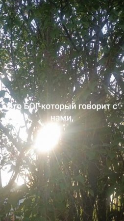 БИБЛИЯ-это...
