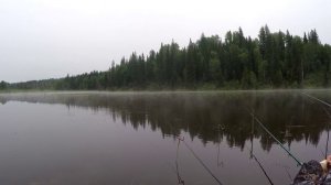 Ловля карася на таёжном озере.