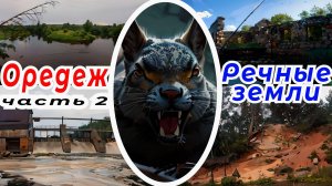 Река Оредеж, сплав на лодке. Часть 2