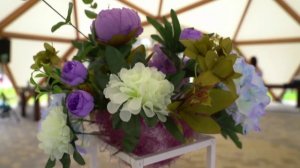 «Центральный лес культуры и отдыха»