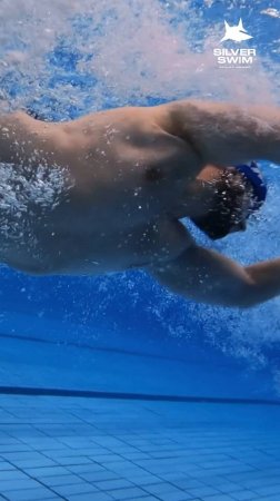 Курсовка в школе плавания "Silver Swim"