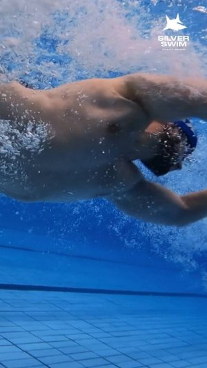 Курсовка в школе плавания "Silver Swim"