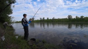 Поиграл удилищем и рыба начала клевать . Рыбалка на игру