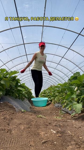 Сбор клубники 🍓Крым апрель 2025