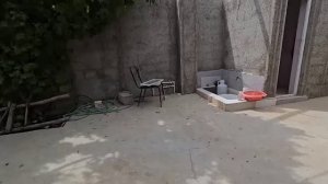Болезнь Хашема и Азаде, визиты к врачу и встреча с Гадиром на работе