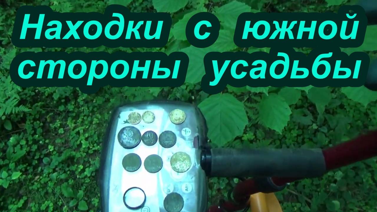 Поиск монет около усадьбы