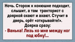 Как Мужик Между Ног Доярки Прятался! Сборник Свежих Анекдотов! Юмор!