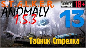 S.T.A.L.K.E.R. Anomaly 1.5.3 ☢ 13 Тайник Стрелка