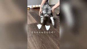 Улетные приколы с животными смех до слез  ЧАСТЬ 3