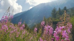 Беспредельность 402. Препятствия и Воля.