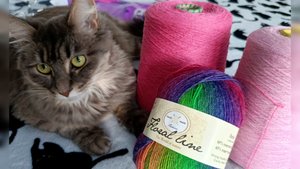 Начались муки творчества 😅Готовлюсь к вязанию безрукавки 💖