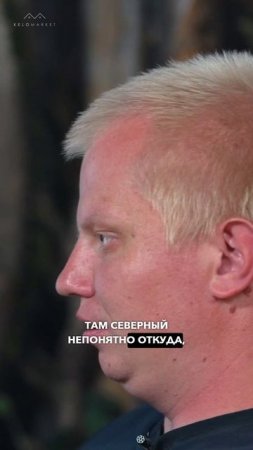 📍Почему выбирают Кело? Преимущества сухостойной сосны #kelo #соснакело #отделкаизкело