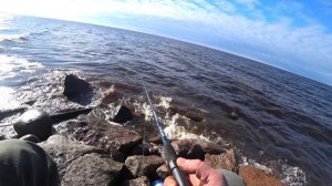 04.05.25. Рыбалка на киви. Северная Ривьера.