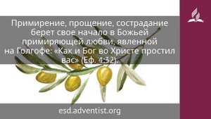 5 мая 2025. Путь христианского примирения. Под сенью благодати _ Адвентисты