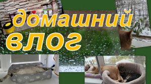 ВЛОГ: ДЕВОЧКИ, СПАСИБО!  СТОЛЬКО ПОДАРКОВ! КРАШУ ВОЛОСЫ,  ПОГОДА И КРАСОТА АРОМАТНАЯ...