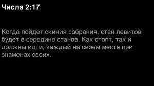 Числа, глава 2