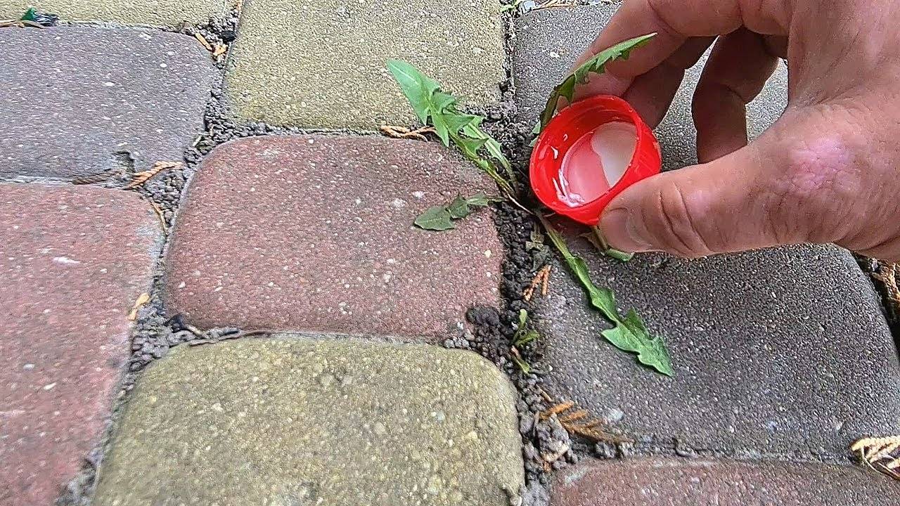 🌿 КАК УНИЧТОЖИТЬ ТРАВУ МЕЖДУ ПЛИТКОЙ НАВСЕГДА? Проверенные способы без вреда для покрытия!