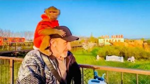 Тигра-Люся пока доедет до своей семью, съест все вкусняшки)))