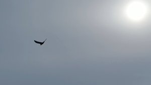 Снежная весна. Пешком до тундры.