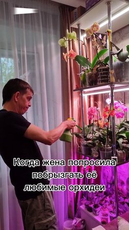 Если б я попросила мужа попрыскать мои орхидеи 😁