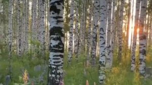 РОССИЯ