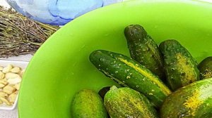 Огурцы солёные для солянки