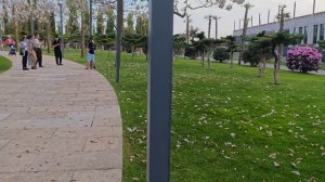 весеннее цветение в парке Галицкого Краснодар