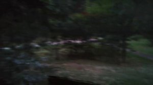 Поездка в подмосковье. Локация в сосновом бору.