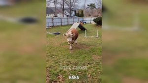 Лучшие неудачи недели, Подборка самых смешных неудач, Смешное видео