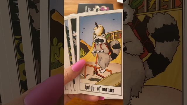 The Trash Panda Tarot New Tarot Deck Таро Енотов