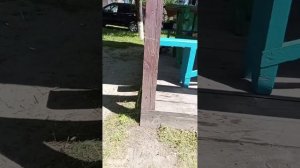 мы на базе 1 часть