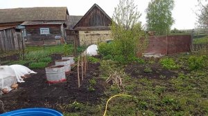 Замечательный выходной в деревне
