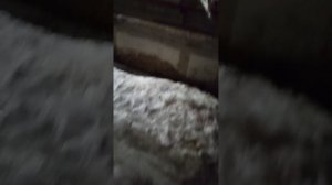 14 марта 2025 г., 23:29:17
Двор П. Осипенко 48
VID_20250314_232804759