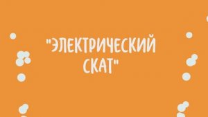 02. Электрический Скат