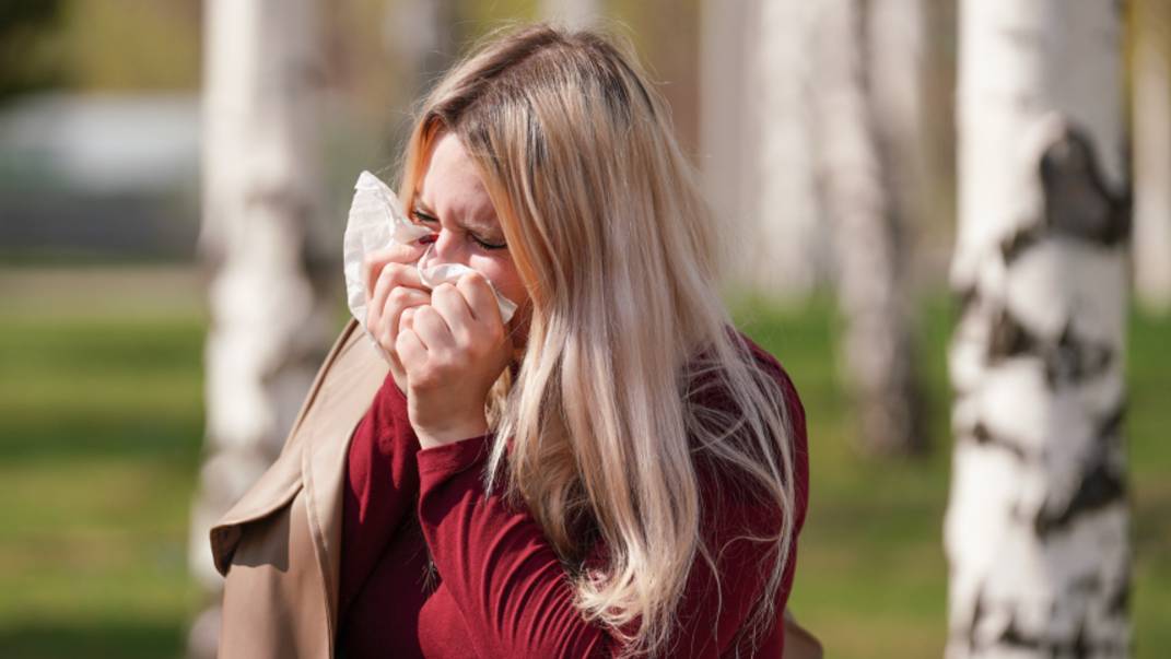 Жителей Москвы и Петербурга предупредили о волне аллергенной пыльцы