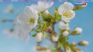 Эфир от 05.05.2025 (09:30)