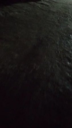 19 марта 2025 г., 21:01:14
Двор Сибирская 73
VID_20250319_210047851