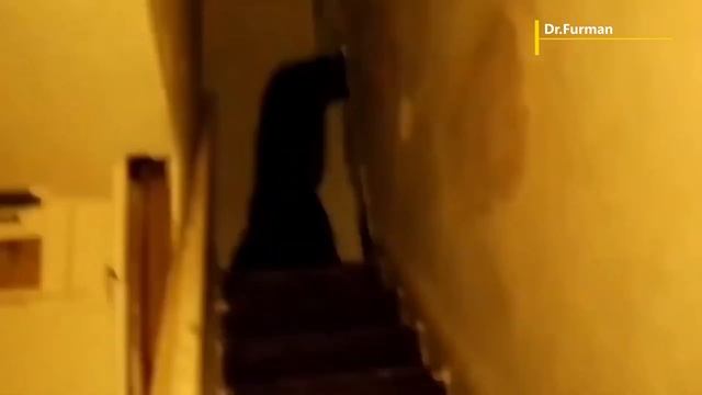 ЖУТКИЕ ПРИЗРАКИ И ПАРАНОРМАЛЬНЫЕ ЯВЛЕНИЯ СНЯТЫЕ НА КАМЕРУ Creepy ghosts and paranormal phenomena