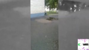 Лучшие старые приколы | Не засмейся челлендж | Засмеялся проиграл