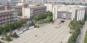 Обзор школы