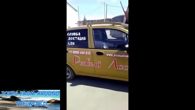 JOKES FROM AROUND THE WORLD 40 / Лучшие приколы +18